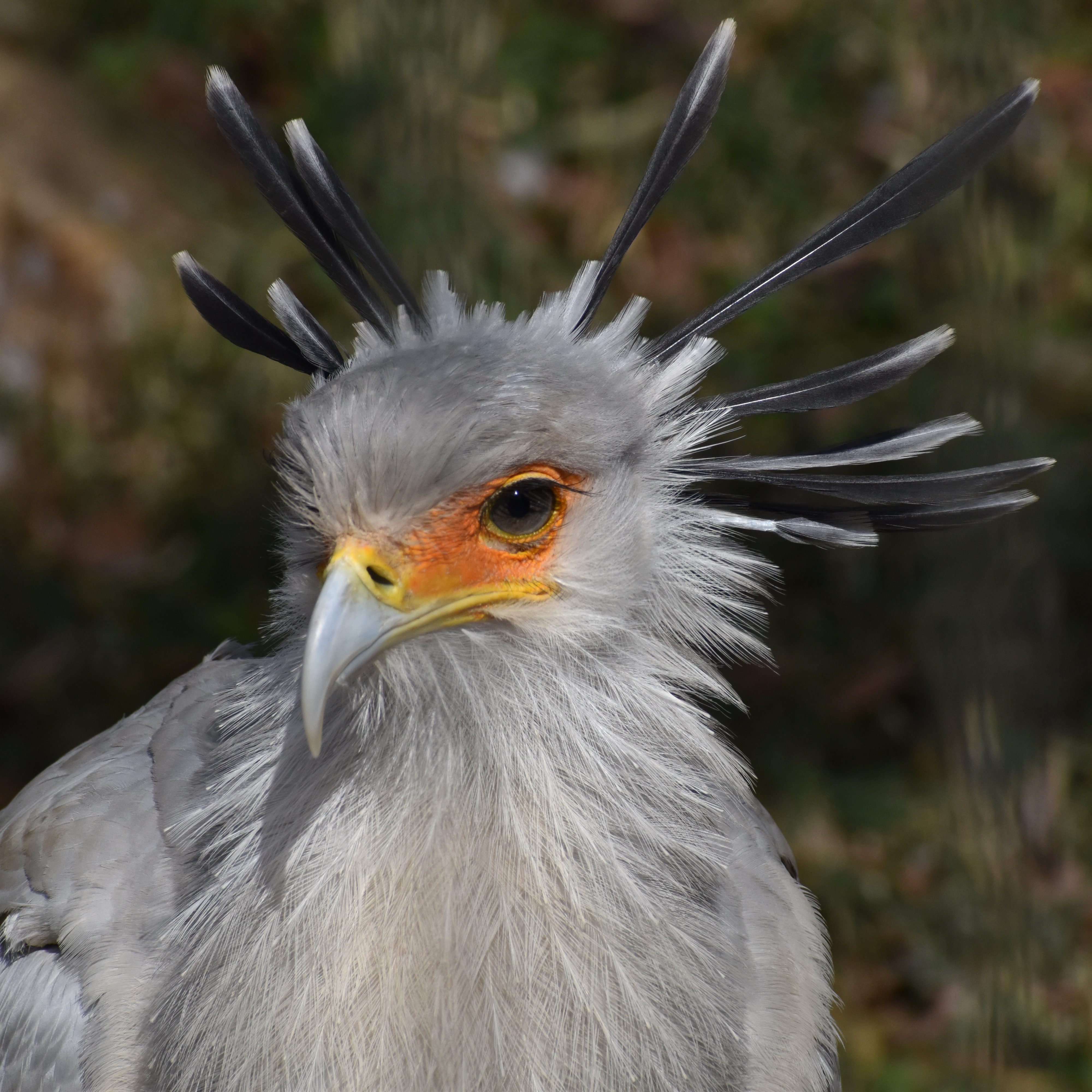 Office-Support Sandra Stengel